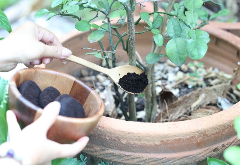 5 Consigli Fai Da Te Per L orto E Il Giardino Yougardener